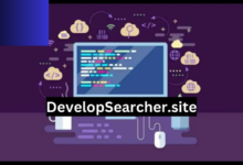 DevelopSearcher.site