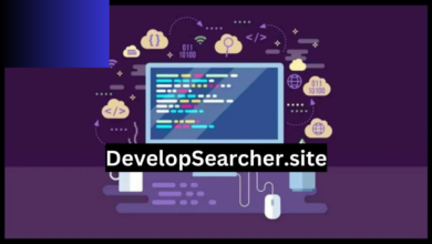 DevelopSearcher.site