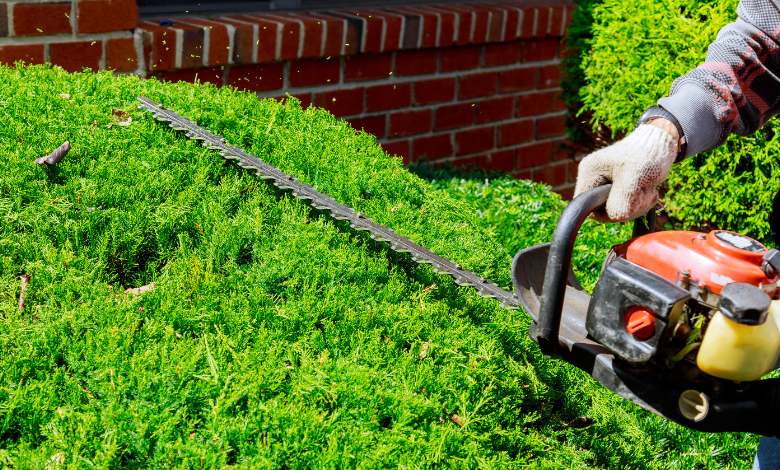 Black Decker lht 2436 hedge trimmer smokes and stops